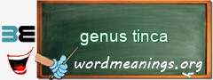 WordMeaning blackboard for genus tinca